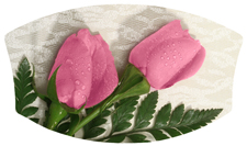 DNSWILL 054 2 Roses Pink